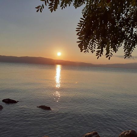 Guesthouse Zimovski Pestani Luaran gambar