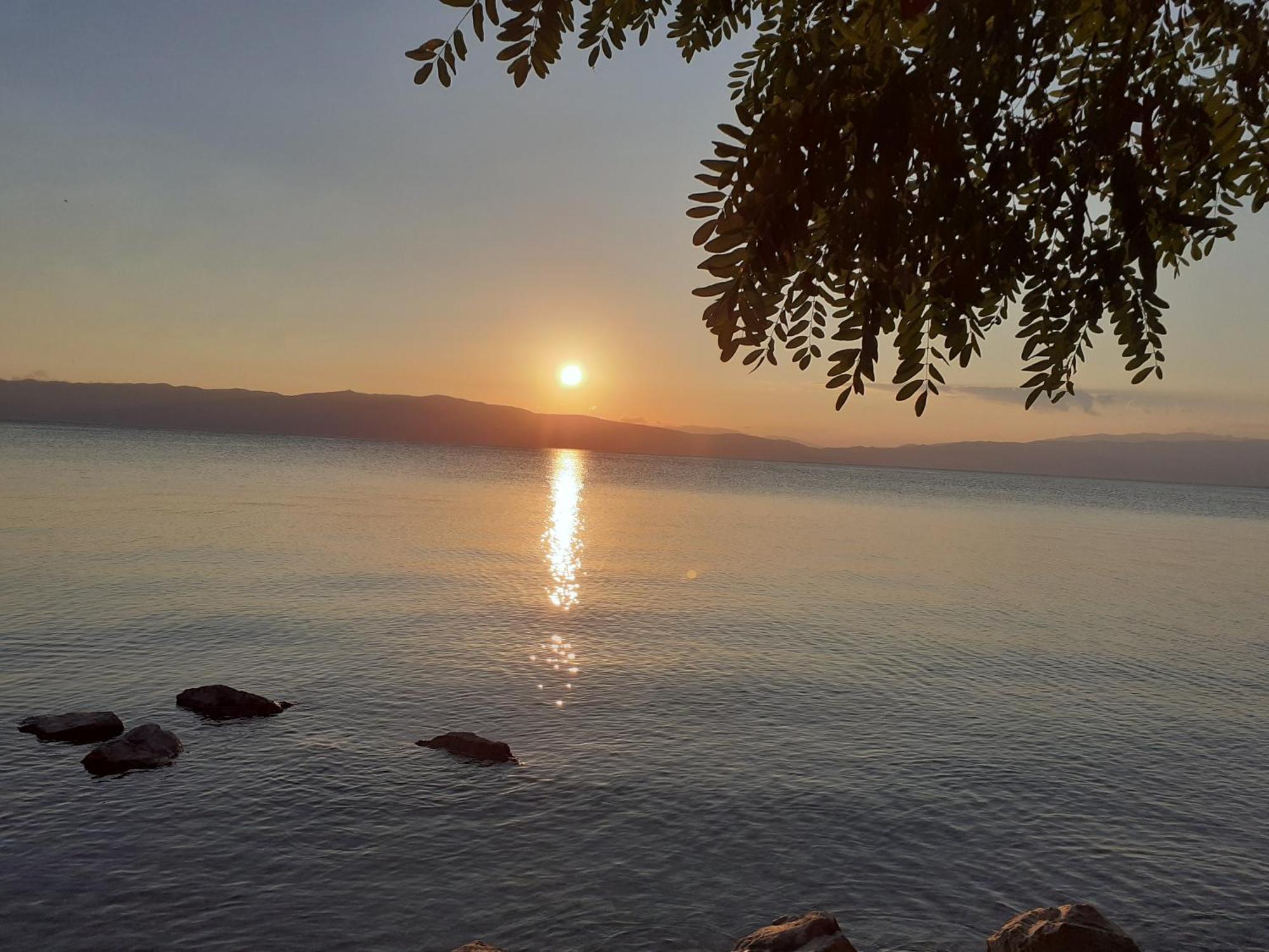 Guesthouse Zimovski Pestani Luaran gambar