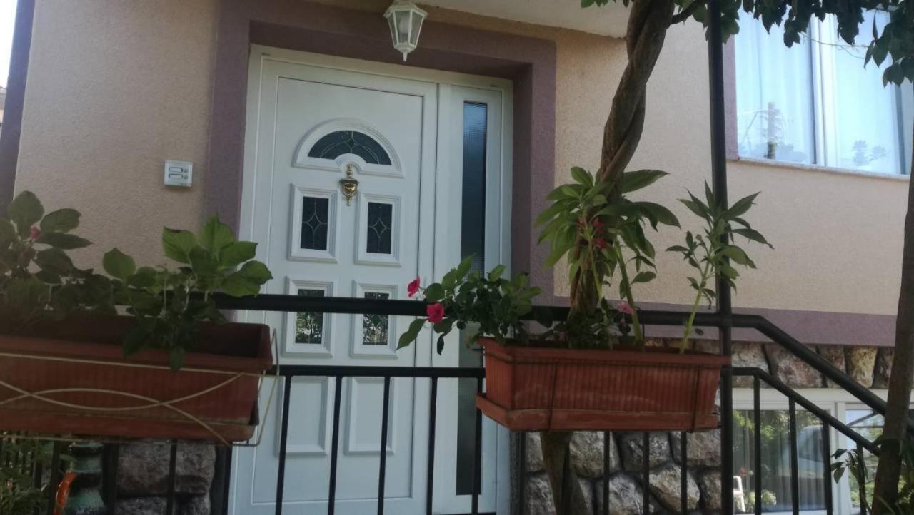 Guesthouse Zimovski Pestani Luaran gambar